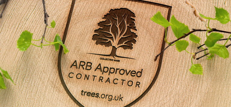 Ward Tree Surgeons are delighted to be an ARB Approved Contractor